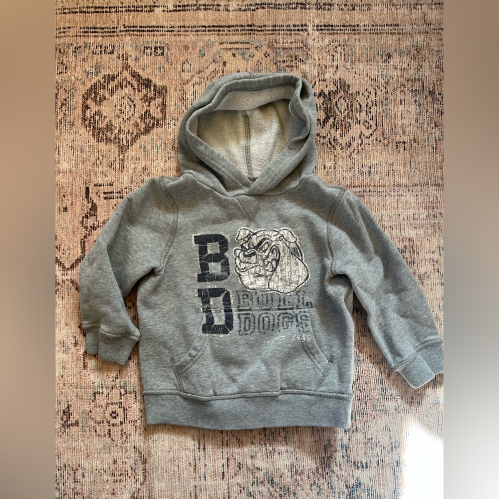 Place Gray Bulldog Graphic Hoodie